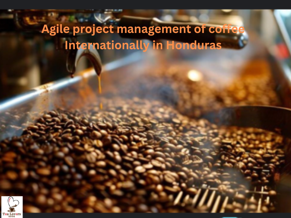 Agile project management of coffee internationally in honduras